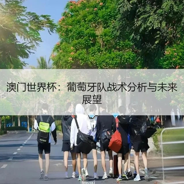 澳门世界杯：葡萄牙队战术分析与未来展望